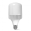 LED лампа VIDEX A118 50W E27 5000K 1